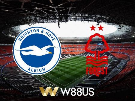 Soi kèo Brighton vs Nottingham – 01h30 – 19/10/2022